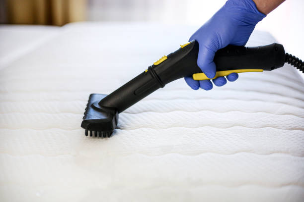 istockphoto 1397696343 612x612